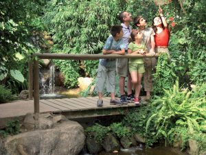 butterfly park empuriabrava